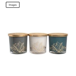 Bellevue Luxury 20 oz Candles, 3-pack